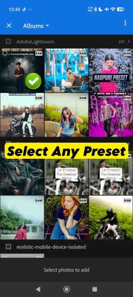 Step 5 Choose a free DNG preset to import
