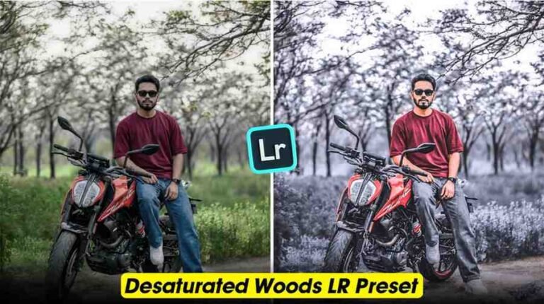 Desaturated Woods Lightroom Presets