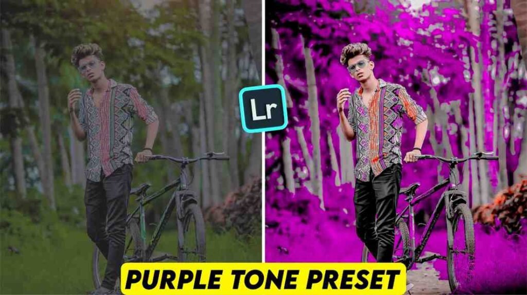 Lightroom Purple Preset