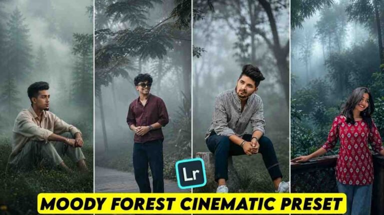 Moody Forest Cinematic Lightroom Presets